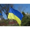 Флаг Украины 3077